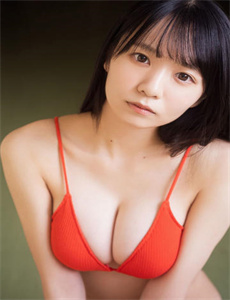 欧美猪zoo