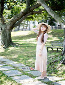 郑媛媛种子
