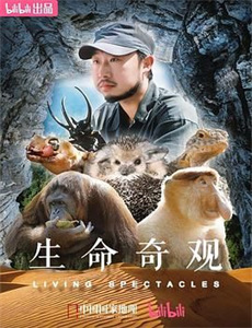 首届山东文化惠民消费季开幕式