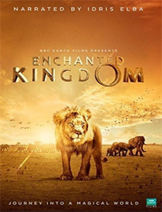 被偷听心声后,魔君他杀疯了