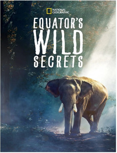 尸战朝鲜 第一季