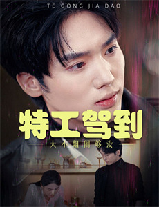 侠盗王子罗宾汉