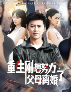 梅森探案集 第二季